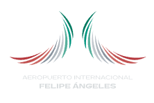 Icono Mexicana